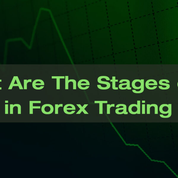 What Are The Stages of Loss in Forex Trading